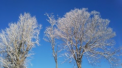 青空と雪景色.1.JPG