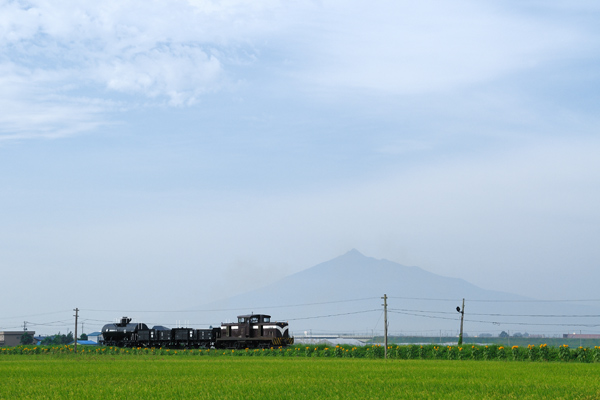 _津軽鉄道と岩木山.jpg
